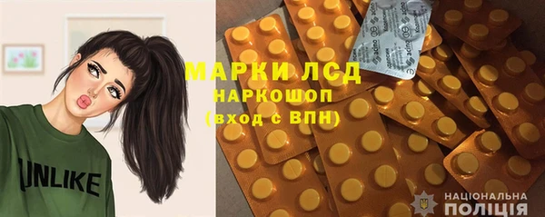 шишки Арсеньев
