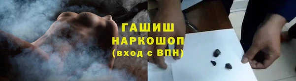 шишки Арсеньев