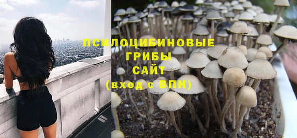 шишки Арсеньев