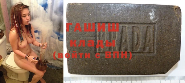 шишки Арсеньев