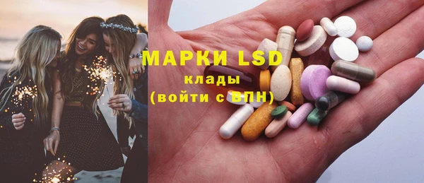 шишки Арсеньев