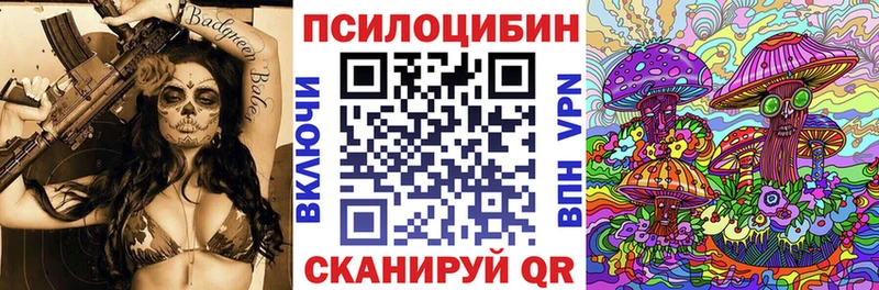 MEGA ONION Белорецк Псилоцибиновые грибы Cubensis