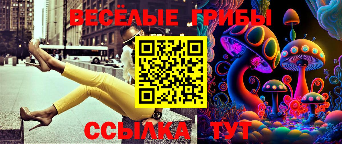Галлюциногенные грибы прущие грибы  Вход с VPN  Белорецк  Псилоцибиновые грибы прущие грибы 